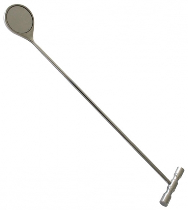 Dental Mirror